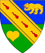 Arms Image